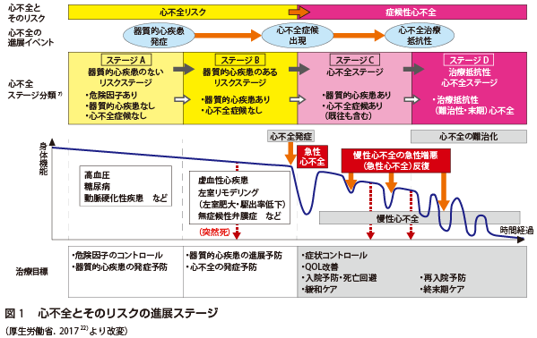 心不全とそのリスクの進展ステージの図