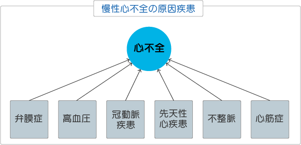 慢性心不全の原因疾患